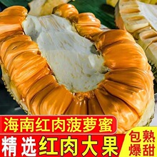 树上熟18斤越南红肉菠萝蜜一整个新鲜水果包邮当季红心波罗蜜干苞