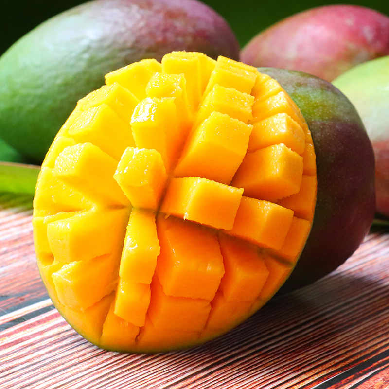 攀枝花吉禄彩虹芒果 四川芒果应季水果批发一件代发
