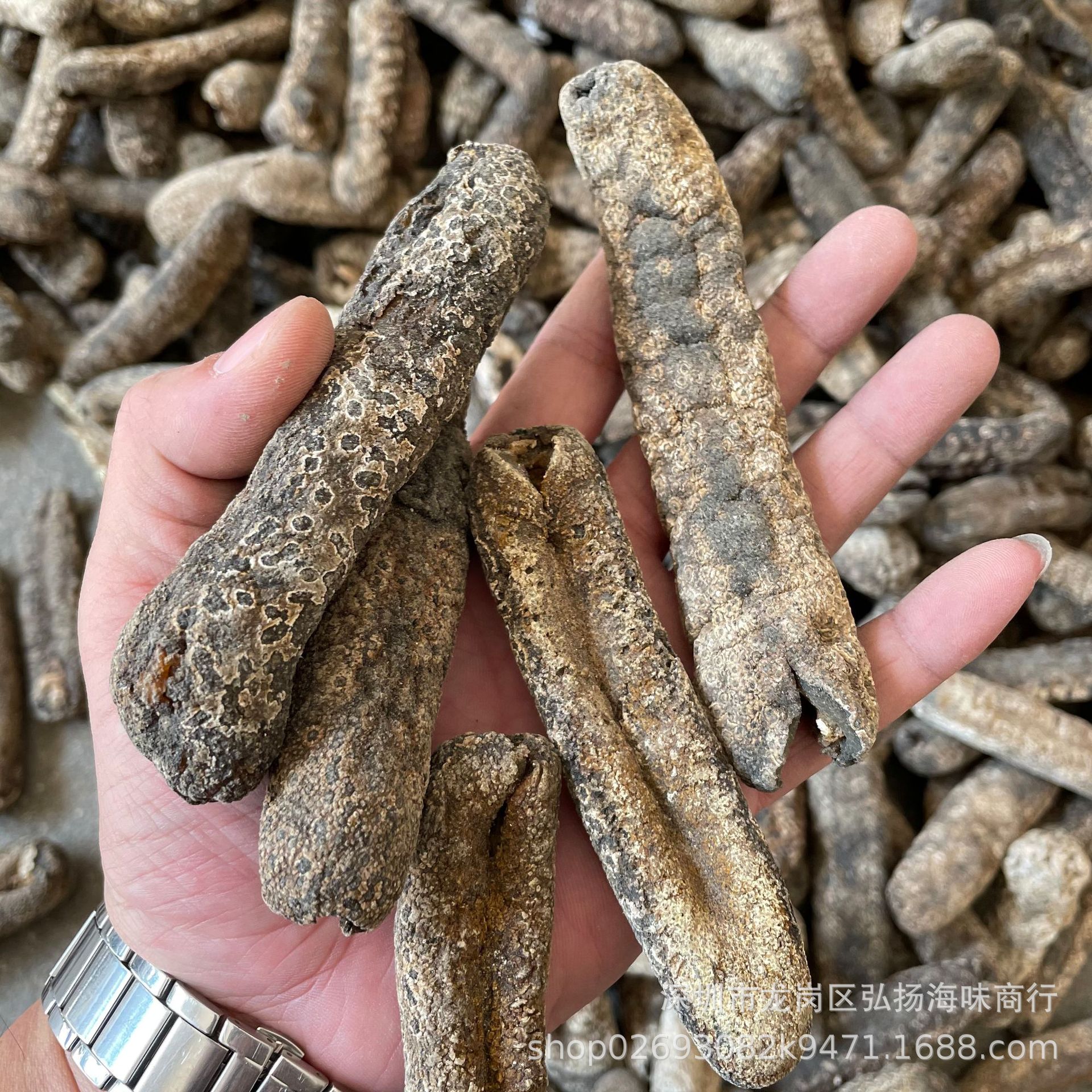 新几内亚虎皮参 黑虎皮参 大赤参 赤条海参干货 7-15头