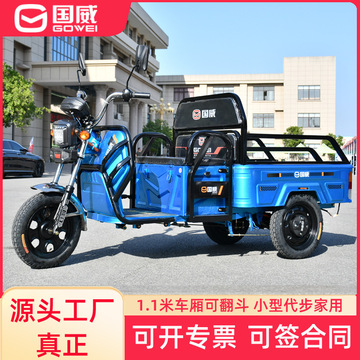 国威电动三轮车小型载人载货农用家用载重拉货电瓶车电动车摆摊新