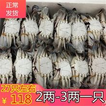 10斤/箱27只左右, 新鲜鲜活速冻螃蟹冰冻梭子蟹2-3两/只
