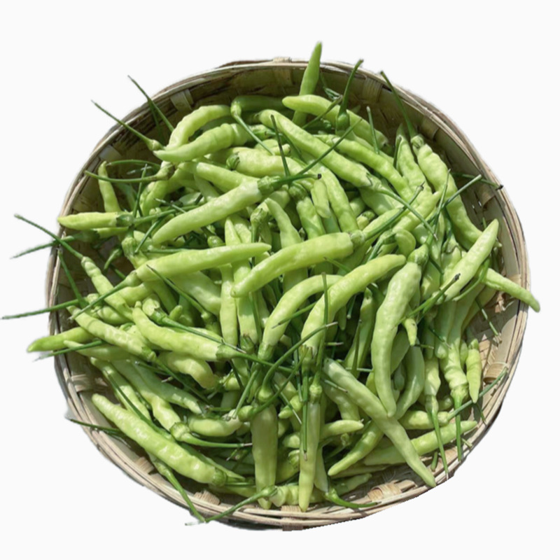 云南新鲜野山椒小米辣泡椒特辣朝天椒临沧孟定农家种植现摘小米椒