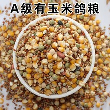 颗粒玉米营养赛飞通用专用粮50斤鸽子粮赛信鸽肉鸽50斤饲料鸽粮