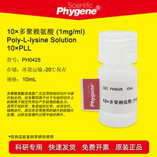 PH0428 10×多聚赖氨酸 1mg/mL 实验专用10mL 玻片粘合剂 PHYGENE