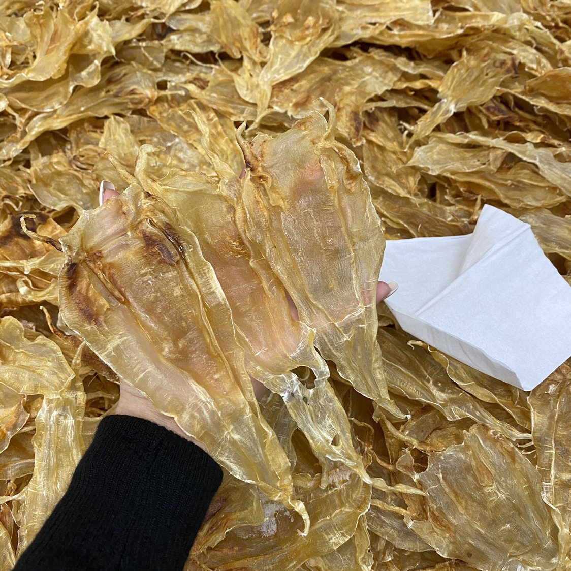 墨西哥小公肚胶 原色无漂白足干鱼胶干货 孕妇滋补一斤55只左右