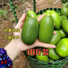 海南子弹头香柠檬茶薄皮无籽鲜果奶茶店专用广东香水柠檬