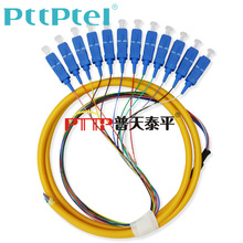 PTTP普天泰平 12芯SC单模束状尾纤12色SC/PC集成光纤活动连接器