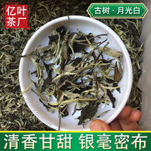 云南古树月光白散茶批发景谷一芽一叶月光美人银针春茶叶市场厂家