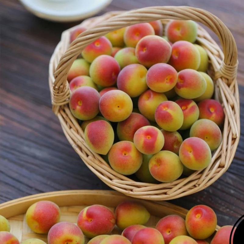 胭脂梅梅红精选新鲜5大果青梅果鲜果酸梅子泡酒酵素整箱批发-阿里巴巴