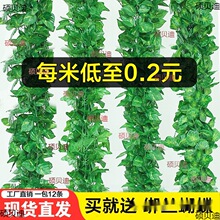 商场吊顶装饰仿真软胶假葡萄滕曼树叶子房顶绿叶干花爬藤花架个性