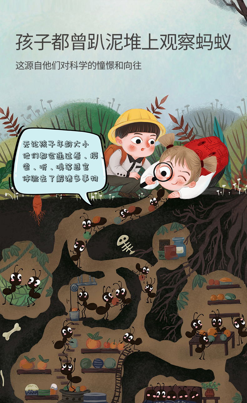 科学观察盒蚂蚁巢穴大号神器养蚂蚁小学生蚁巢盒子昆虫steam玩具