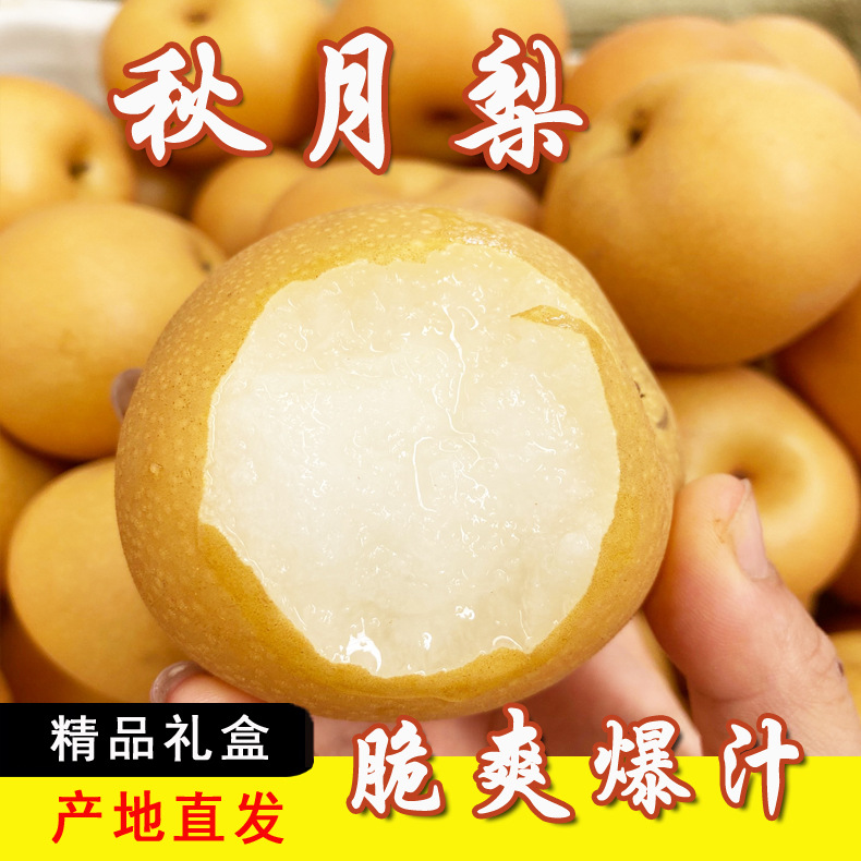 山东南水秋月梨新鲜水果应季礼盒装脆甜大果产地直发包邮成熟