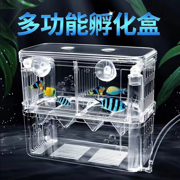 鱼缸隔离盒缸内孔雀鱼繁殖盒热带鱼产房非亚克力幼鱼小鱼苗孵化器