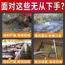 化粪池溶解剂化粪池溶解旱厕化粪池化粪除臭生物分解