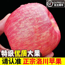 【亏本冲量】陕西洛川苹果红富士正宗脆甜冰糖苹果水果5/9斤80mm