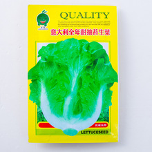 意大利全年耐抽苔生菜种子 农家生菜青菜孑阳台盆栽四季蔬菜种籽