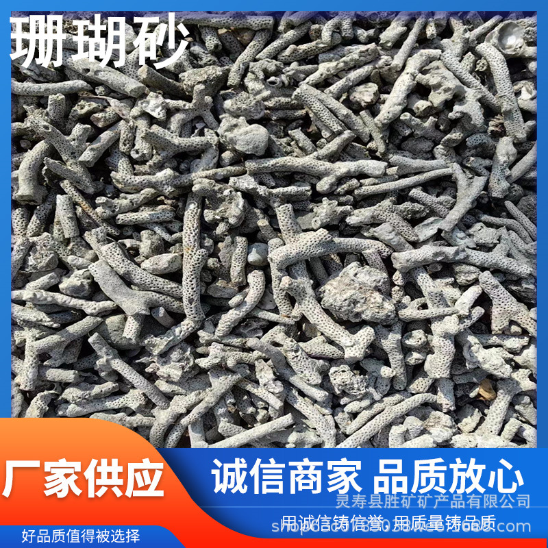 批发珊瑚骨水族造景过滤装饰材料菲律宾砂珊瑚砂海洋馆净化水质