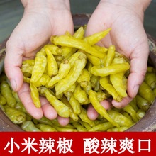 泡椒小米辣泡椒野山椒剁椒泡凤爪调料开味超爽口泡菜家庭商用批发