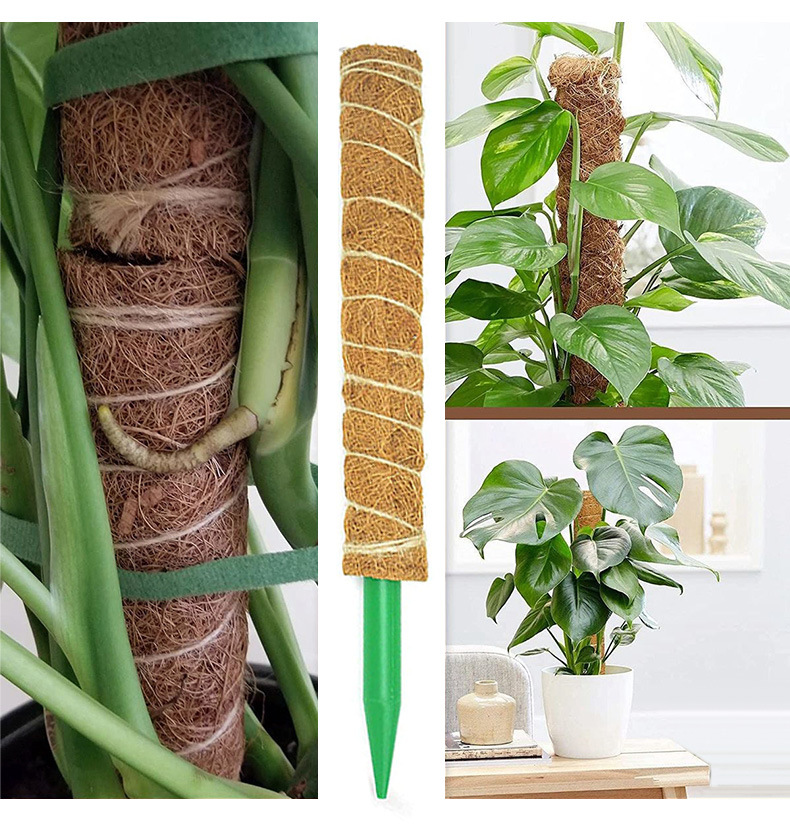 新款椰棕棒绿萝棒植物攀爬柱子阳台爬藤杆跨境园艺亚马逊苔藓杆