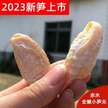 新鲜小竹笋野生小笋5斤毛竹笋湖南带壳手剥春笋现拔冰袋发货山笋