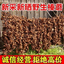 正品榛蘑松蘑肉厚无根脱水 2023新货冬菇菌菇批发价毛重