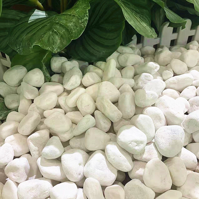 厂家供应白石子白色鹅卵石 园艺景观用白石子 透水路面用白石子