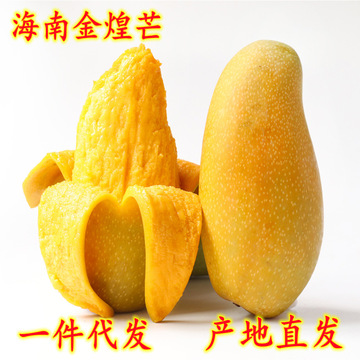 一件代发 海南三亚金煌芒芒果当季热带水果现摘现发新鲜金煌芒果