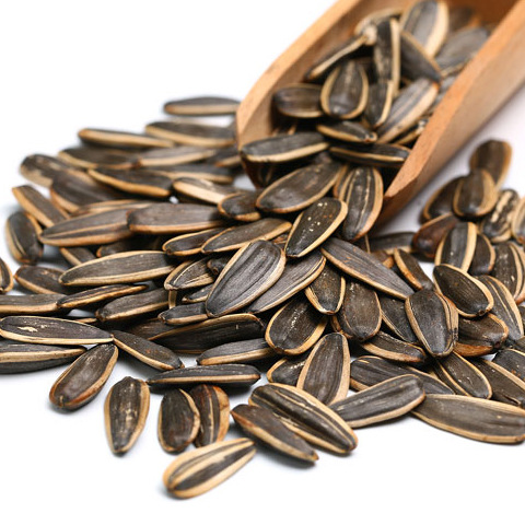 新货熟瓜子大颗粒葵花籽内蒙古精品原味铁锅现炒瓜子散装5斤发批