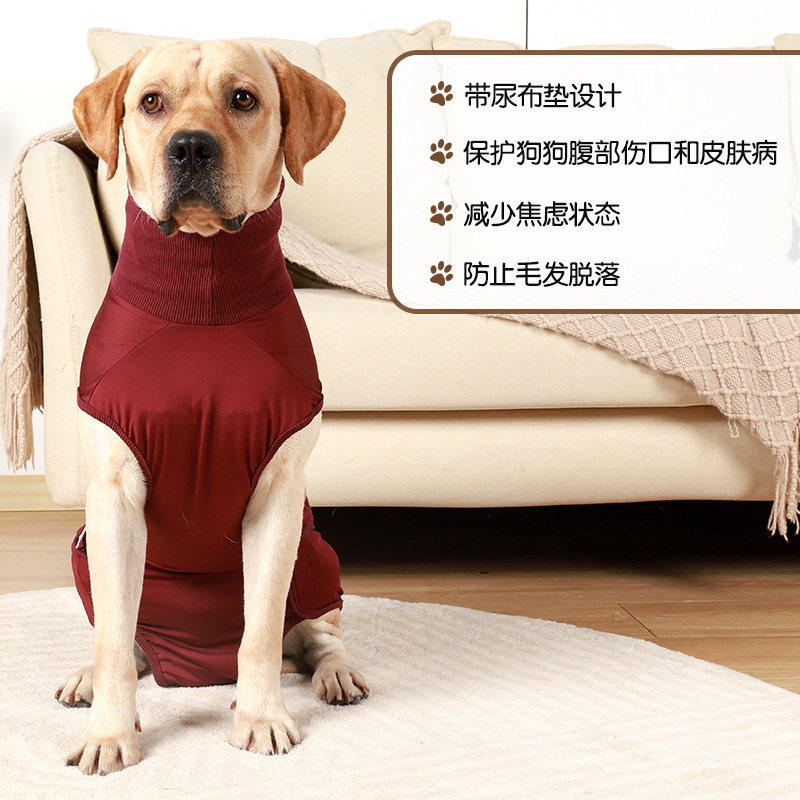 跨境狗狗生理服狗狗尿裤姨妈服绝育术后服含尿布宠物用品狗狗衣服