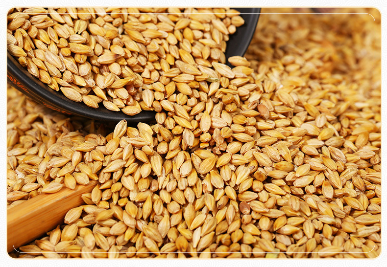 供应带壳大麦饲料 大麦带壳五谷杂粮现货大麦袋装25kg