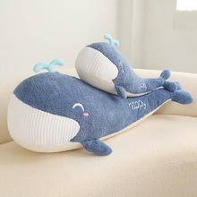 新品可爱海洋动物大牙鲸鱼长条抱枕跨境毛绒玩具女孩家居陪伴抱枕