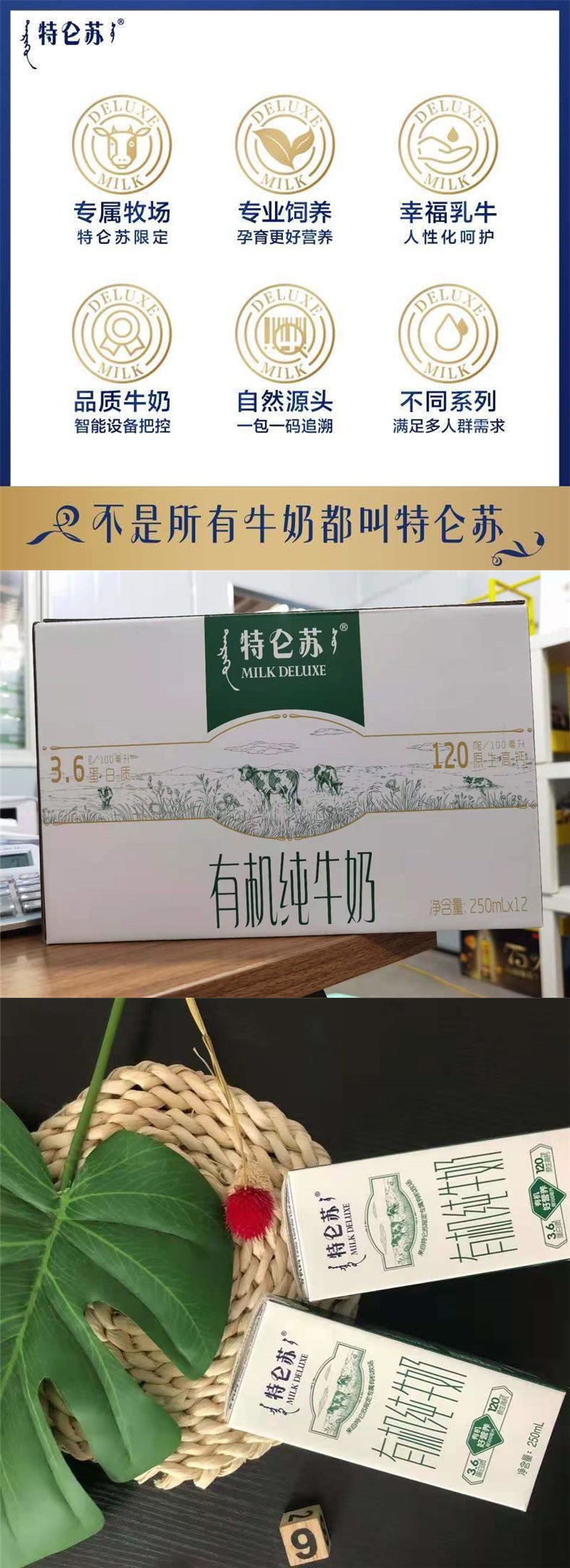 蒙牛特仑苏有机纯牛奶250ml*10梦幻盖中老年学生奶整箱包邮