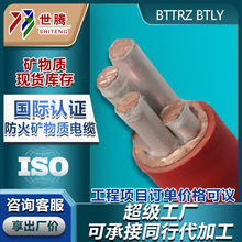 矿物质防火电缆BTTRZ/YTTWY铜芯电力电缆3 4 5芯25 35 50平方BTLY