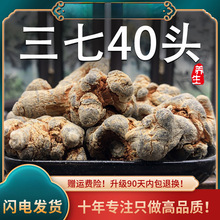 三七材云南文山云三七根20头30头田七旱三七非野生切片粉