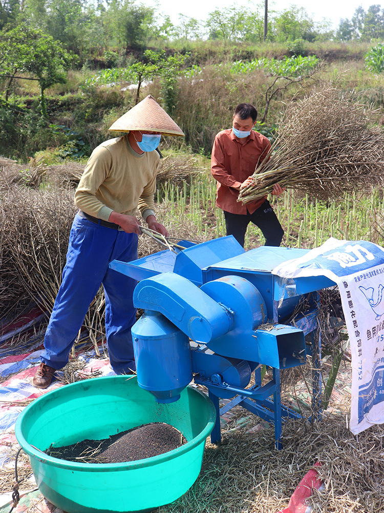 收黄豆机器谷物打油菜籽脱粒机黄豆芝麻打谷全打麦机器商业