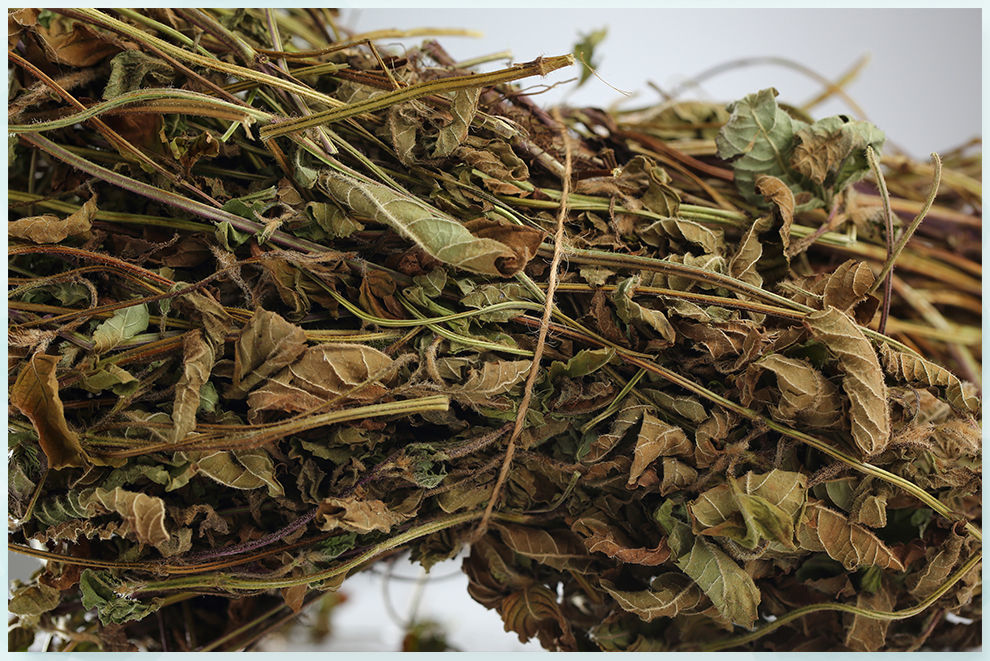 仙草干仙人草全叶烧仙草冻黑凉粉草粿草汁仙人粄草龟苓膏新鲜草干