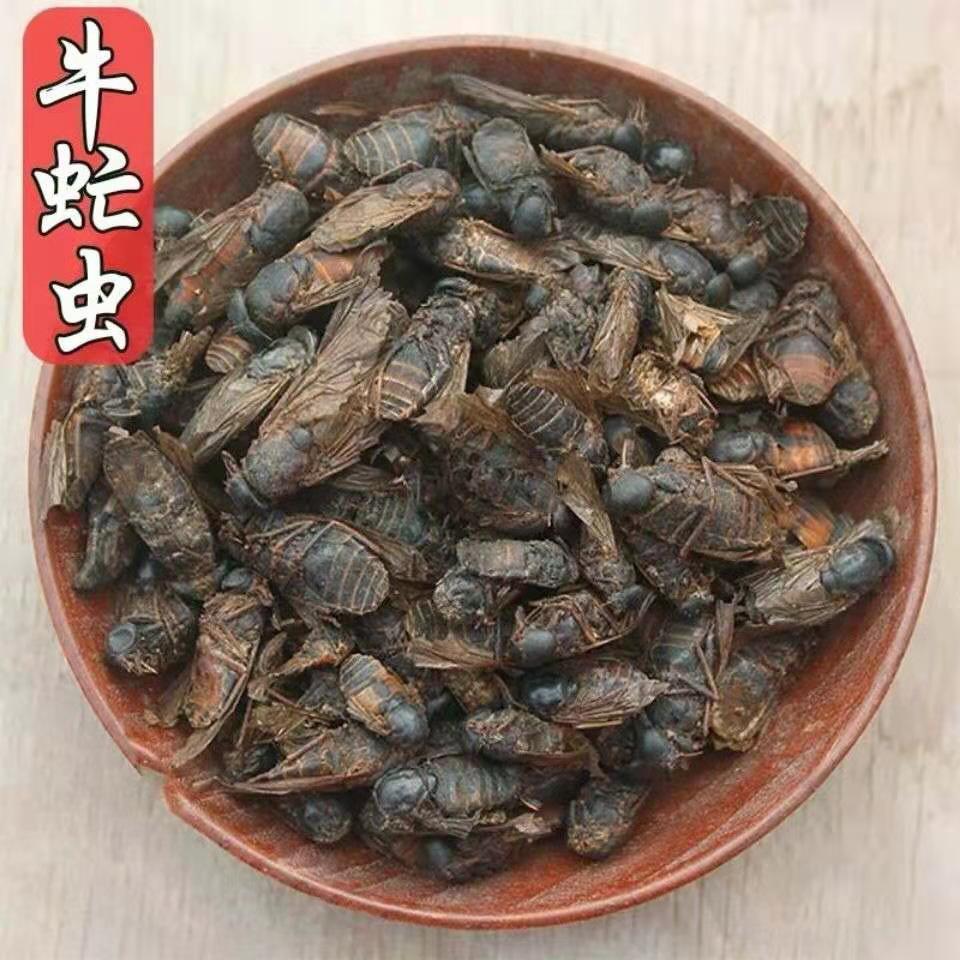 中药材牛虻虫散装大个牛苍蝇牛氓虫牛蚊子牤虫忙虫量大从优