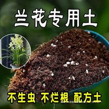 兰花营养土 兰花土 通用型盆栽花土种花养花兰科种植土壤爽听