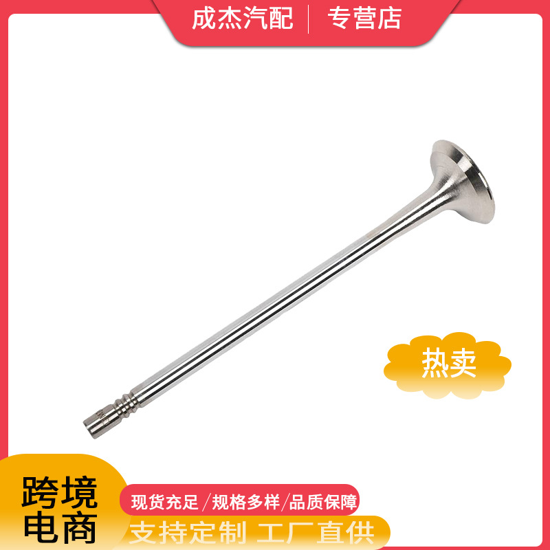 适用于别克昂科拉/雪佛兰 春分/迈锐宝/特拉克斯排气门 12637241