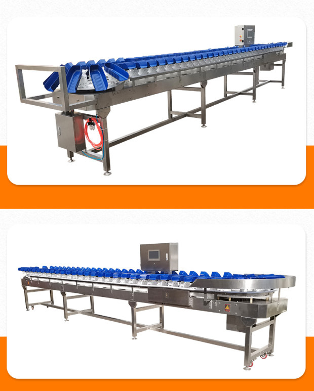 巴沙鱼鲳鱼重量分选机带鱼鱿鱼章鱼大鱼秋刀鱼草鱼鲤鱼鲫鱼分级机