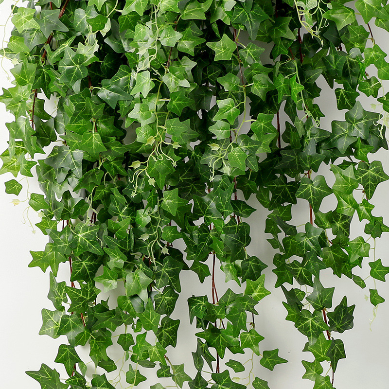 长春藤假花藤条装饰遮挡挂墙绿植壁挂植物吊兰藤蔓绿叶垂吊-阿里巴巴