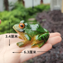 仿真青蛙树脂摆件阳台庭院假山鱼池鱼缸水族箱造景装饰品花盆摆设