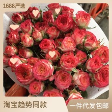 玫瑰蔷薇多头玫瑰花云南鲜花基地直发同城百合水养情人节花束泡泡