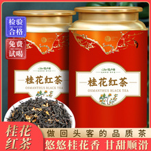 桂花红茶正山小种新茶乌龙茶铁观音茶叶组合罐装礼盒装茶批发代发