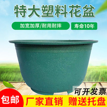 塑料花盆庭院种植果树盆景盆大码加厚龙缸荷花盆种植果树盆景大码