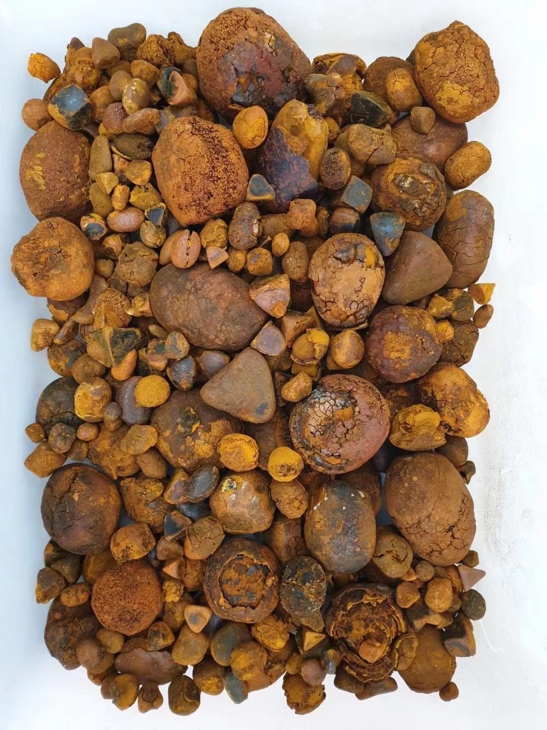 中药材 正宗质量牛黄牛胆黄西黄丑宝管黄牛黄