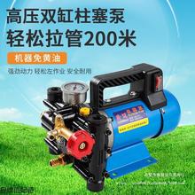 手提式打药机农用电动果树喷雾器12V48V60V220伏高压双缸柱塞药泵