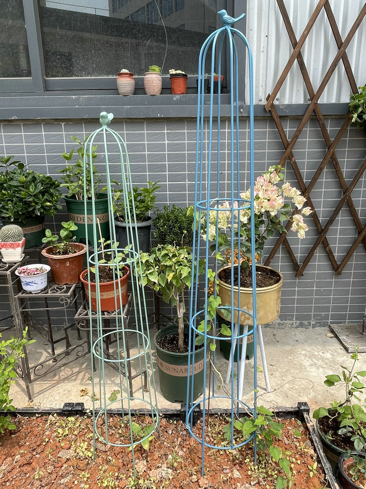 铁艺花柱攀爬架铁线莲架子绿萝月季花架盆栽爬藤架鸟笼造型支架杆