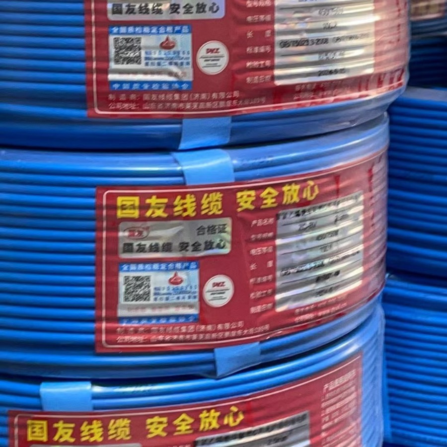 特价国标100米BV2.5