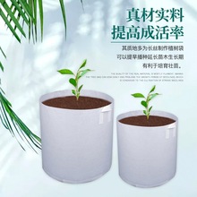 移植户外椰糠植树袋无纺布加厚花木场容器钵透气园艺用品花卉果树